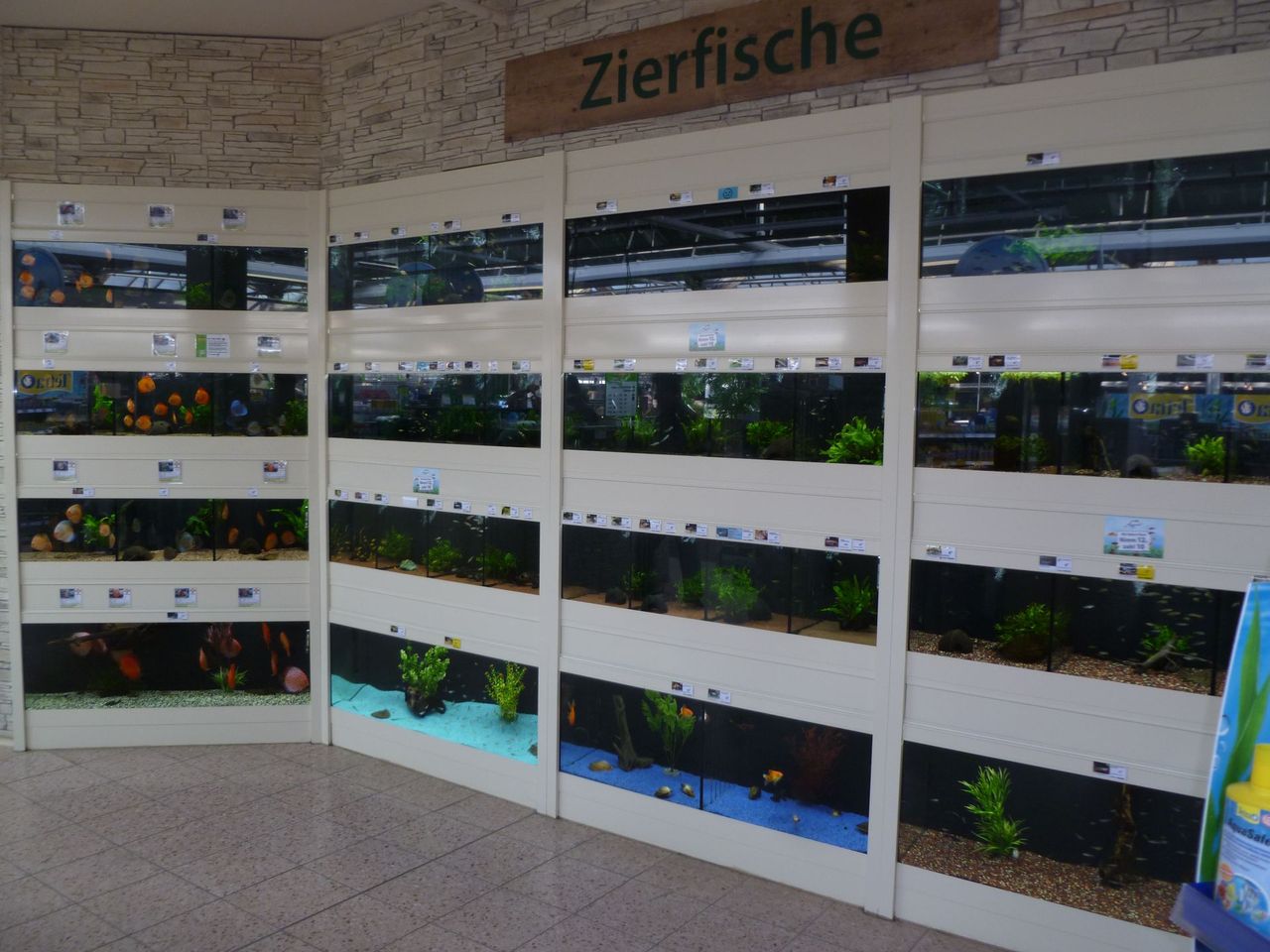 Fachtierärztliche Betreuung